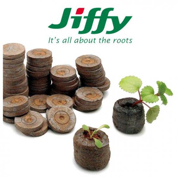 jiffy para germinación