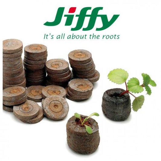 jiffy para germinación